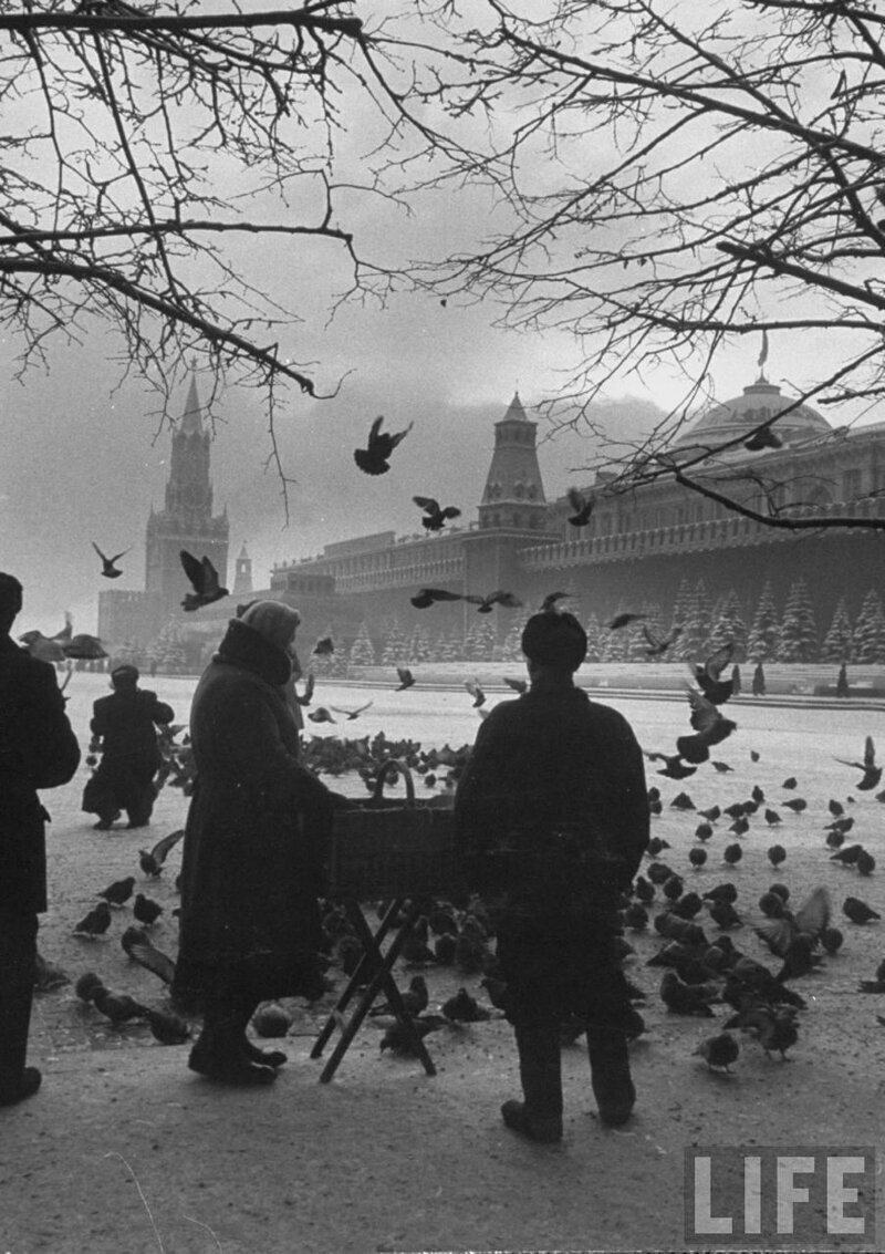 Здесь собраны фотографии, которые в 1959 году снял фотокорреспондент Карл Миданс, для журнала «Life» – Самые лучшие и интересные посты по теме: СССР, зима, люди на развлекательном портале Fishki.net
