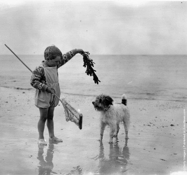 Несколько фотографий снятых на пляже в первой половине 20-го века – Самые лучшие и интересные посты по теме: 20 век, интересно, люди на развлекательном портале Fishki.net