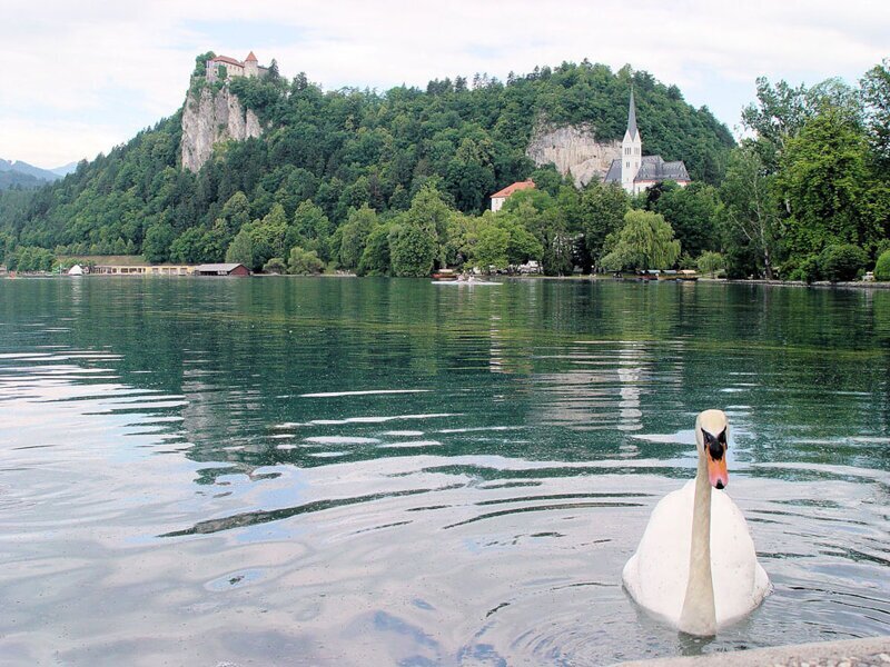 Бледское озеро — это небольшое ледниковое озеро в Юлийских Альпах в Словении – Самые лучшие и интересные посты по теме: легенды, путешествия, факты на развлекательном портале Fishki.net